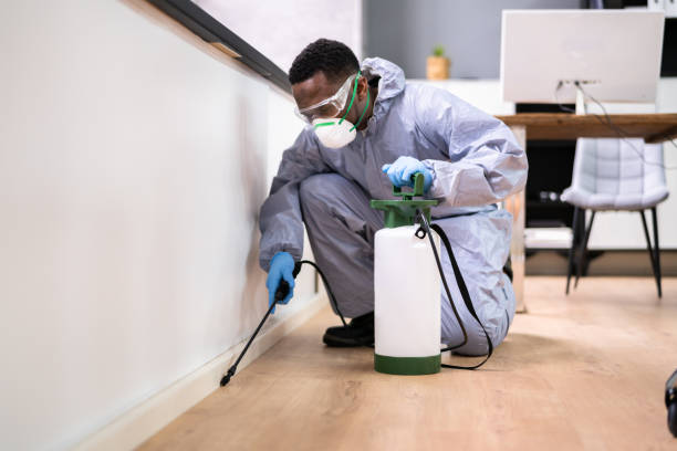 Best Residential Pest Control  in Quanah, TX